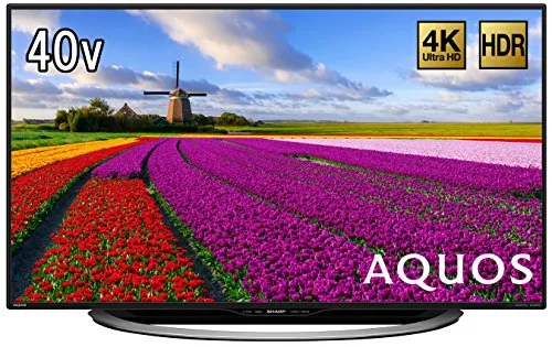 FPD チューナーレステレビ 43型 4K Google TV ネット動画対応 スマート
